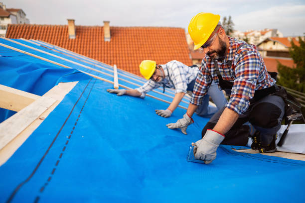 Professional Roofing Contractor in Mount Vernon, GA