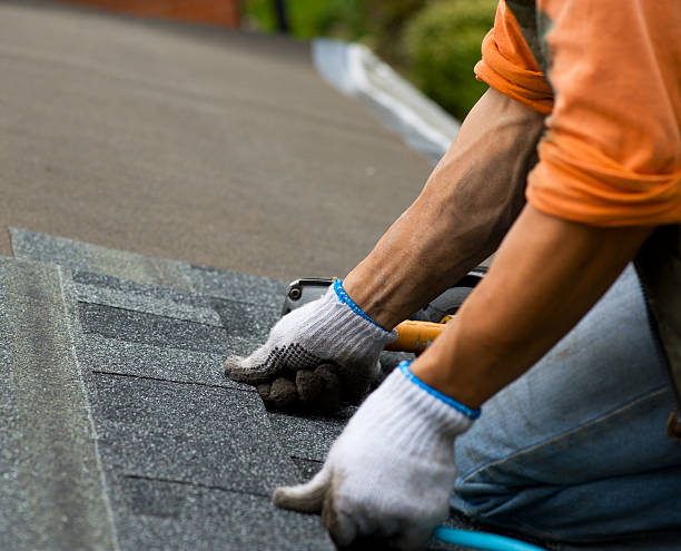 Best Roof Repair Services  in Mount Vernon, GA