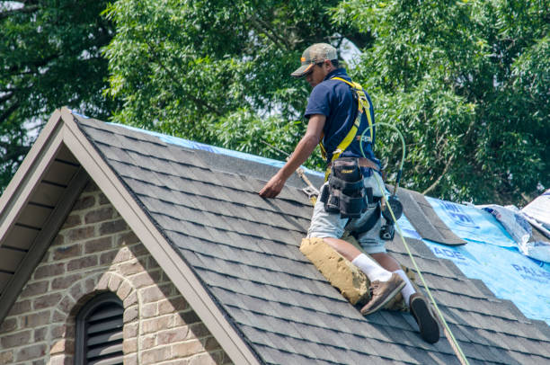 Best Shingle Roofing Installation  in Mount Vernon, GA